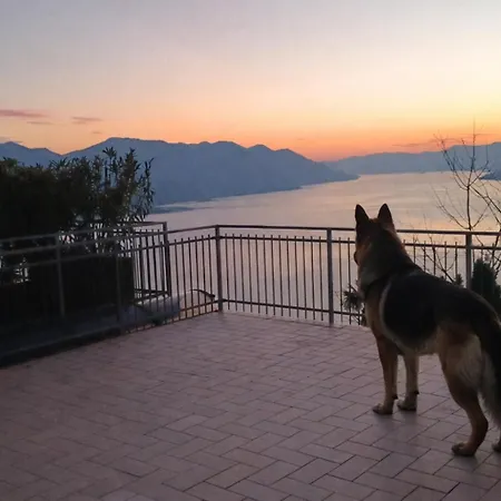 Sunset View Maggiore *